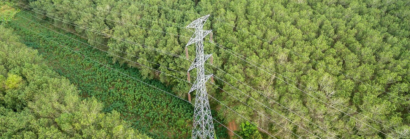 Vegetation Resource Inventory Auditing Vegetation Resource Inventory Auditing
